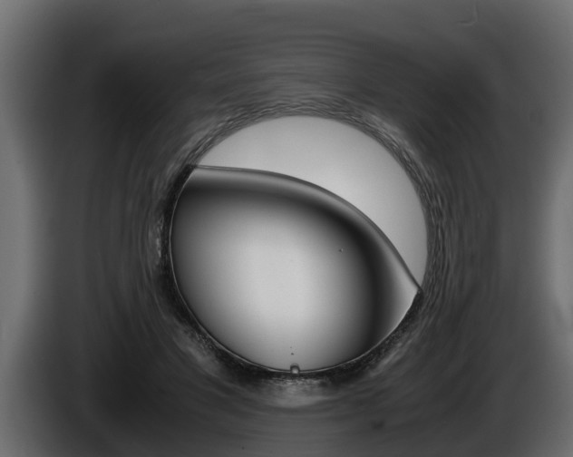 X0000086760501200704130817
