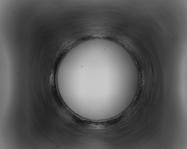 X0000086760502200704130817