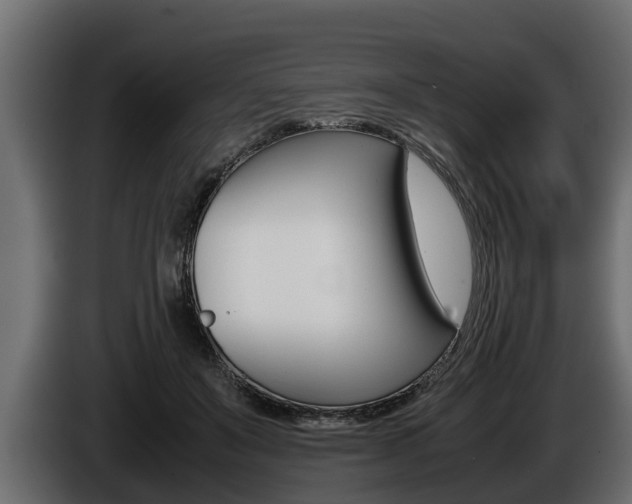 X0000086760503200704130817