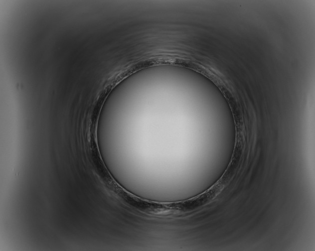 X0000086760504200704130817