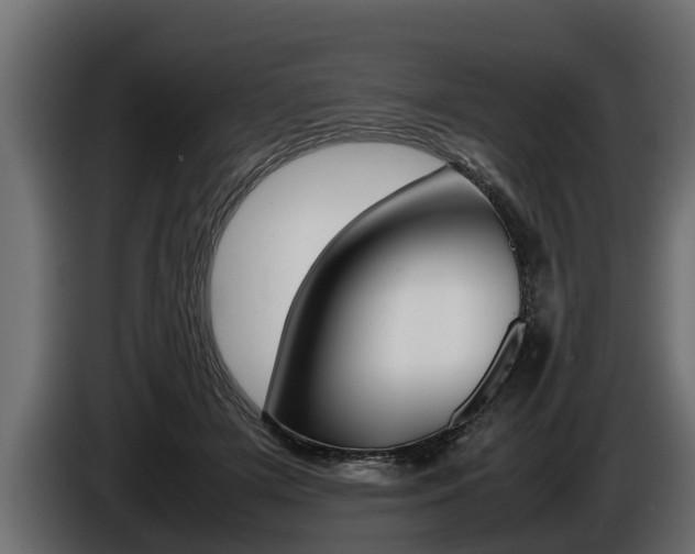 X0000086760505200704130817