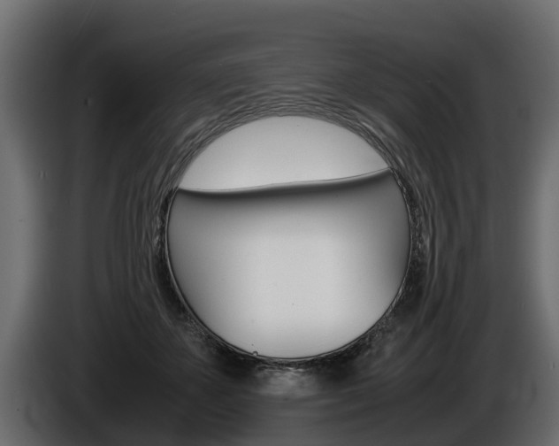 X0000086760507200704130817