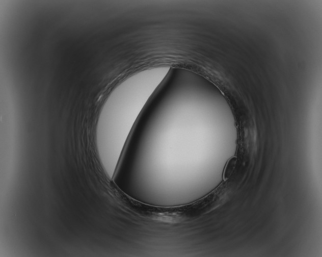 X0000086760508200704130817