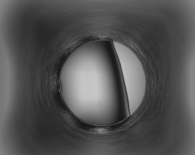 X0000086760509200704130817