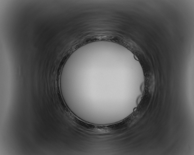 X0000086760510200704130817