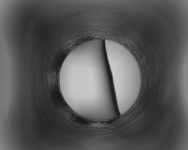 X0000086760511200704130817