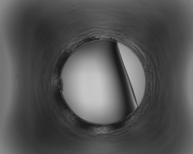 X0000086760513200704130817