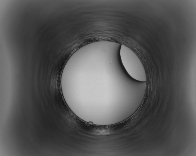 X0000086760514200704130817