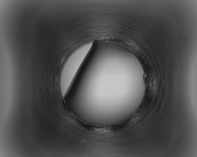 X0000086760516200704130817