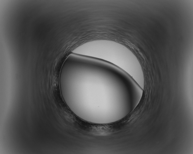 X0000086760517200704130817