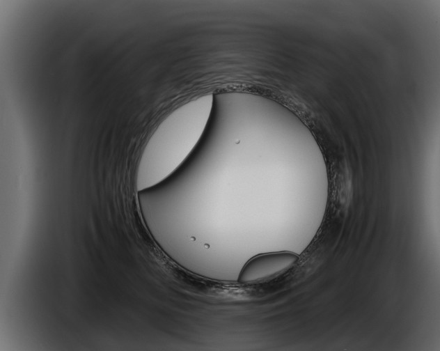 X0000086760518200704130817