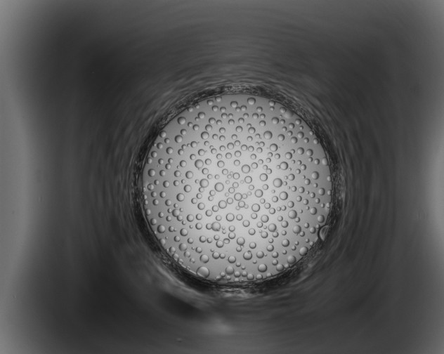 X0000086760519200704130817