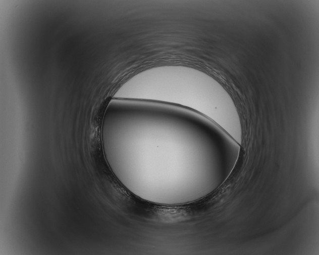 X0000086760521200704130817