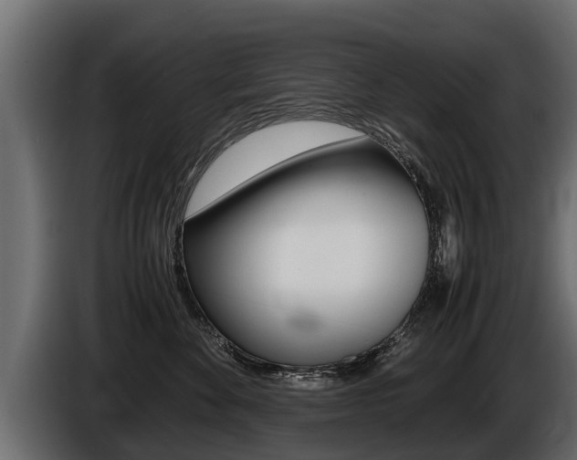 X0000086760524200704130817