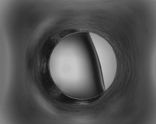 X0000086760525200704130817