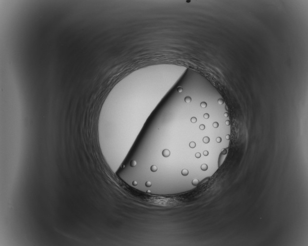X0000086760527200704130817