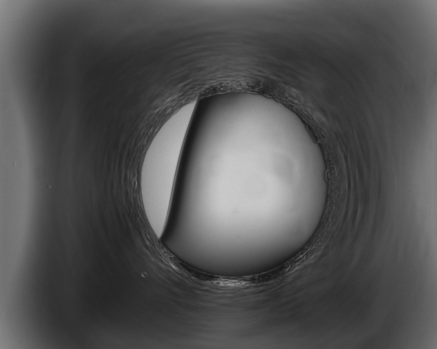 X0000086760528200704130817