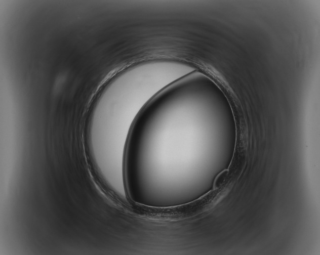 X0000086760530200704130816