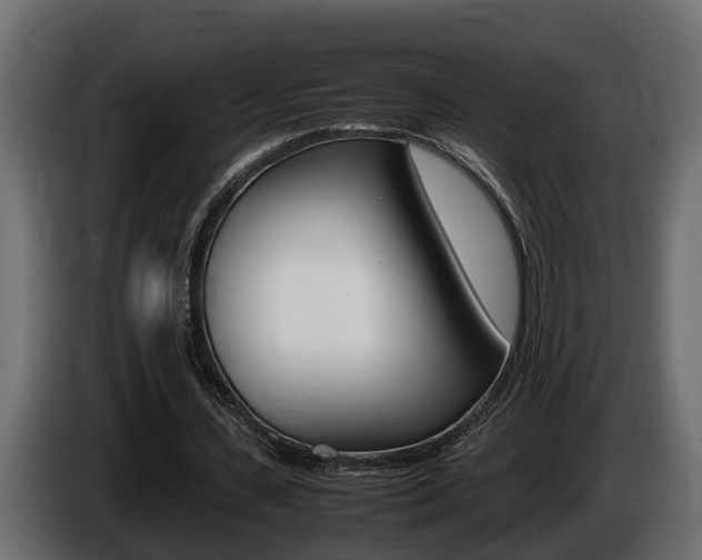 X0000086760531200704130816