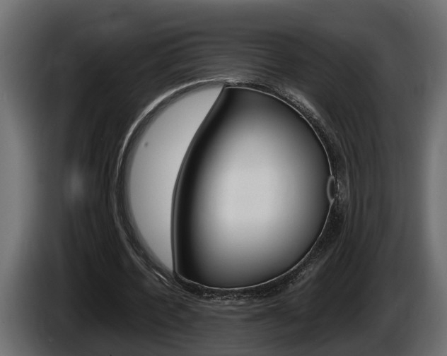 X0000086760532200704130816