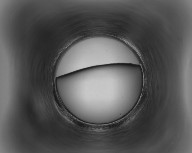 X0000086760533200704130816