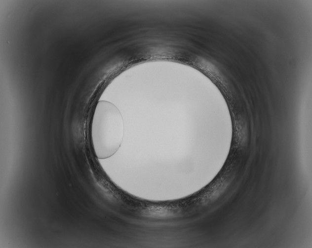 X0000086760534200704130816