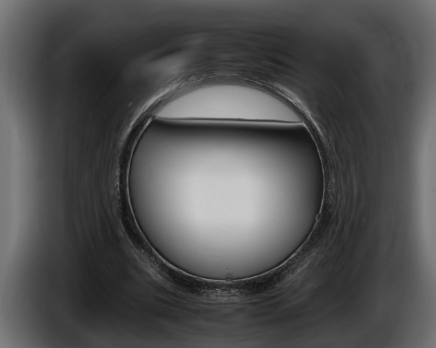 X0000086760535200704130816