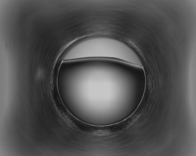 X0000086760536200704130816