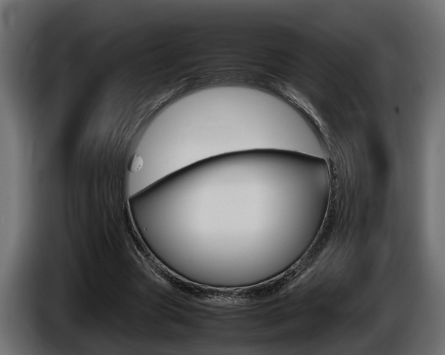 X0000086760537200704130817