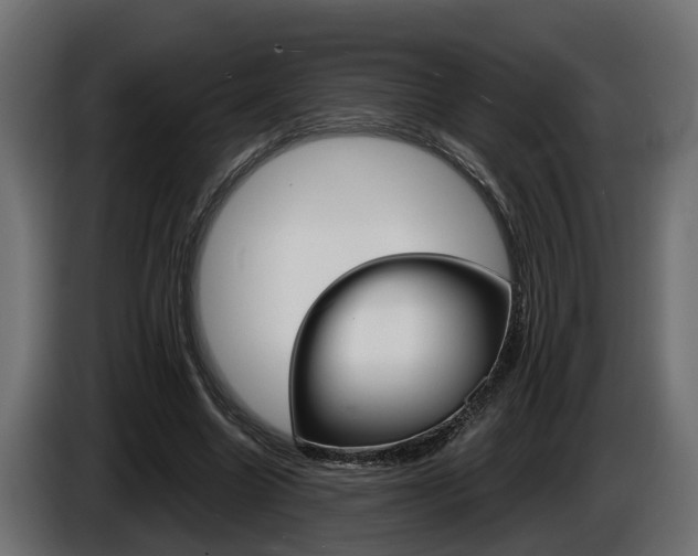 X0000086760538200704130817