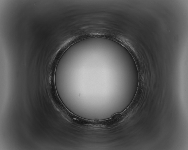 X0000086760539200704130817