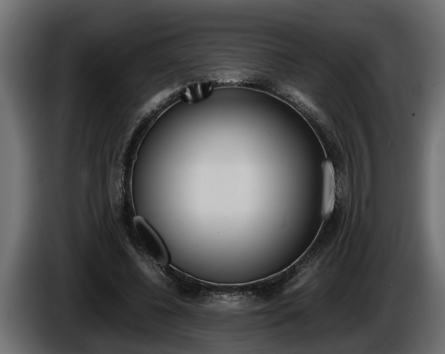 X0000086760540200704130817