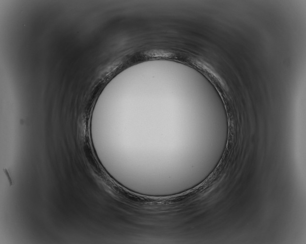 X0000086760541200704130817