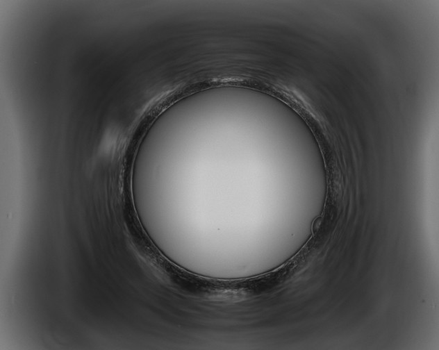 X0000086760543200704130817