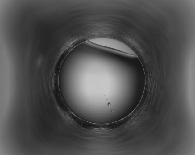 X0000086760544200704130817