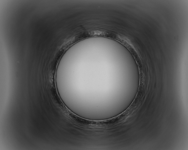 X0000086760545200704130817