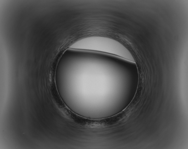 X0000086760546200704130817