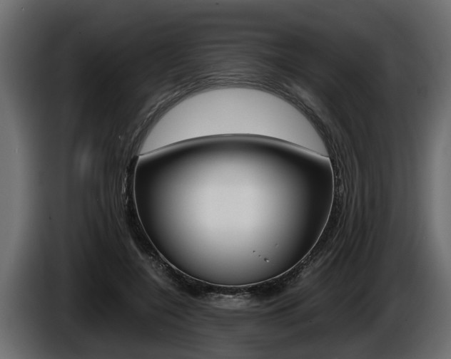 X0000086760548200704130817