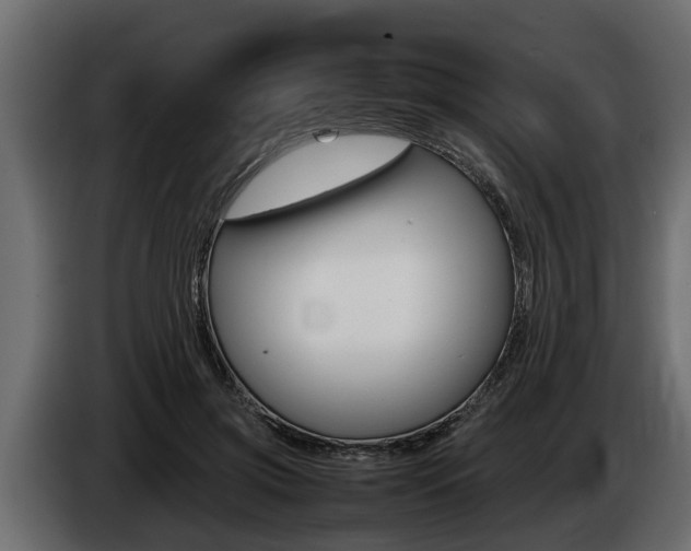 X0000086760549200704130817