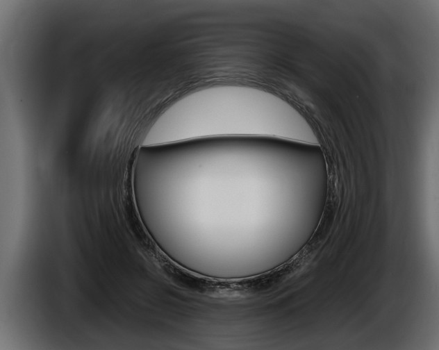 X0000086760550200704130817