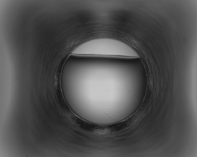 X0000086760551200704130817