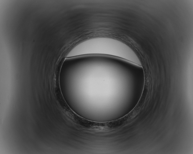 X0000086760552200704130817