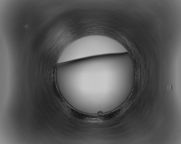 X0000086760553200704130817