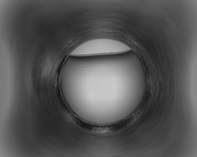 X0000086760554200704130817