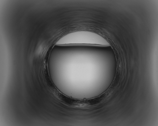 X0000086760555200704130817