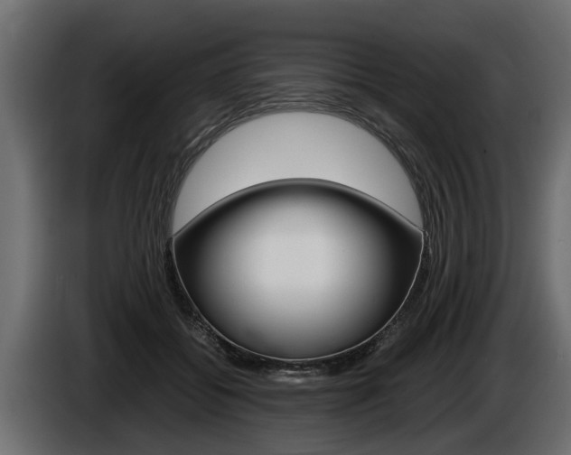 X0000086760556200704130817