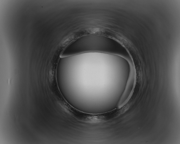 X0000086760558200704130817