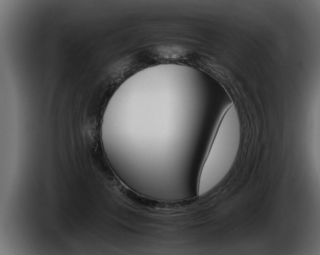 X0000086760559200704130817