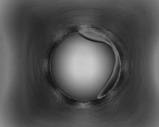 X0000086760560200704130817