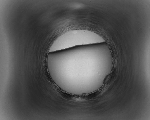 X0000086760561200704130817